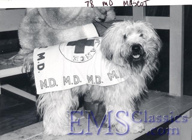 197803MDMascot.jpg