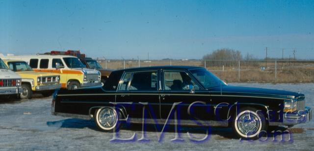 1981Cadillac.jpg