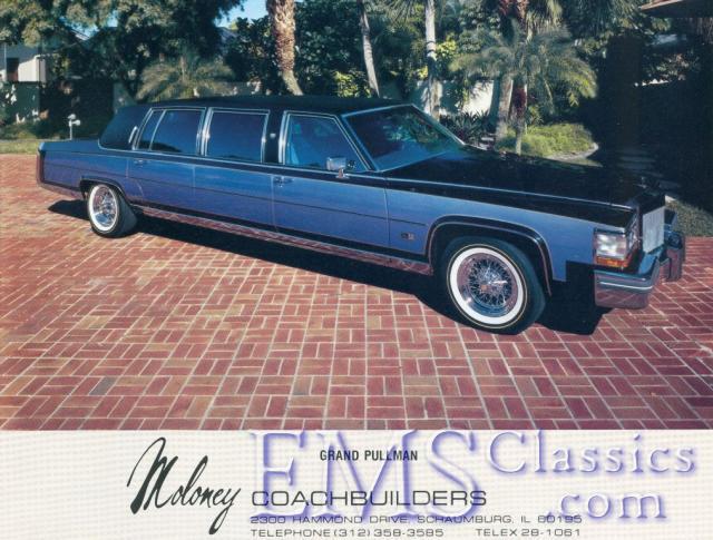 1981MoloneyCadillac03.jpg
