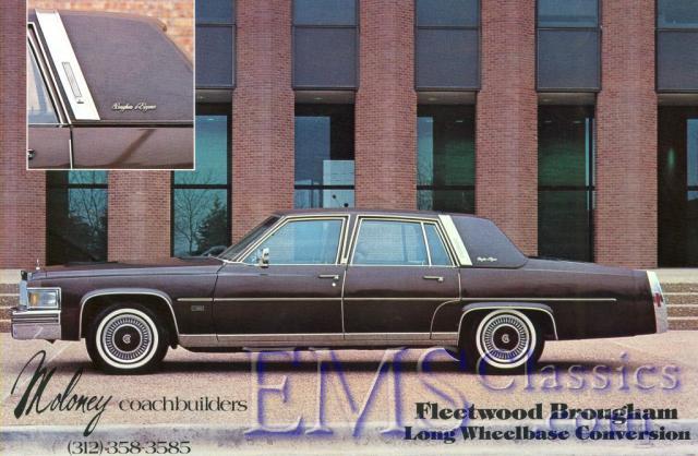 1981MoloneyCadillac05.jpg