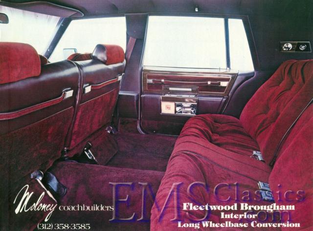 1981MoloneyCadillac05a.jpg