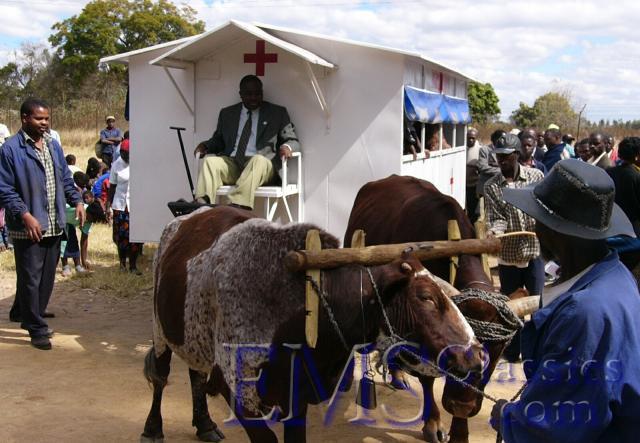 Zimbabweoxenambulances02.jpg