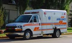 EMSClassics.com Image