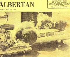 EMSClassics.com Image