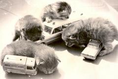 EMSClassics.com Image